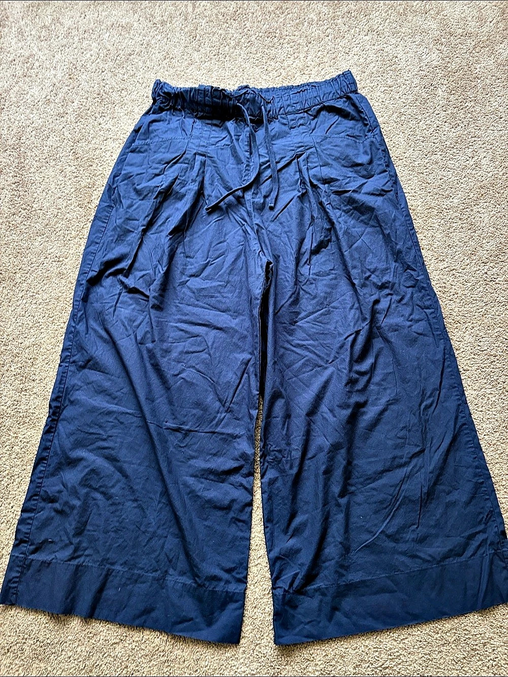 Maeve Wide Leg Pants in Blue Size XL